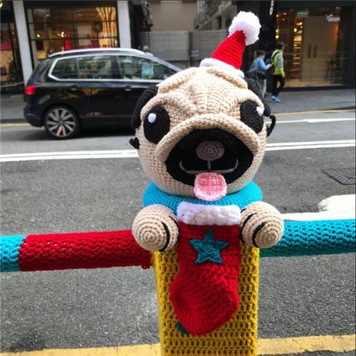 This adorable pug can't wait to see what's in its stocking!