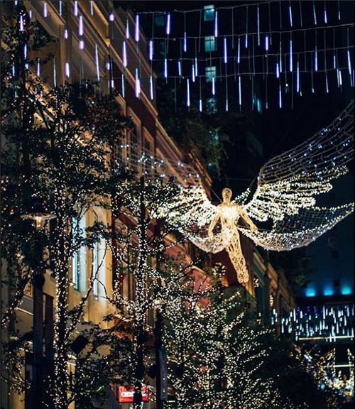 What a gorgeous display! (This photo and the angel photo above were taken by @gnitmiy on Instagram)