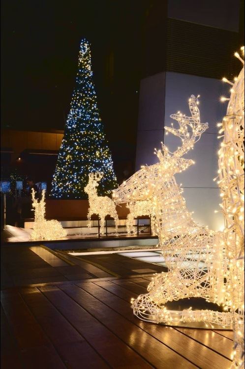We are mesmerized by this display!