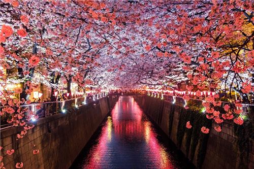 This is STUNNING. Photo by Sora Sagano